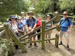 Linton Clapper Stile